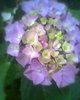 Fotogr.0465