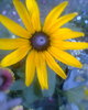 Fotogr.0469