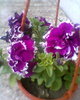 Fotogr.0472
