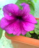 Fotogr.0475