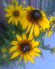 Fotogr.0482