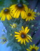 Fotogr.0483