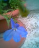 Fotogr.0488