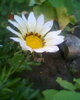Fotogr.0494