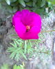 Fotogr.0500