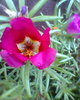 Fotogr.0501