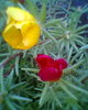 Fotogr.0502
