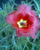 Fotogr.0504