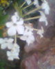 Fotogr.0510