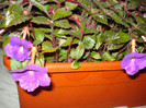 DSC09550