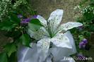 9905_02_3---Wedding-Flowers_web