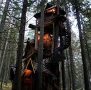 fantastic-forest-tree-house