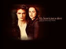 Edward-Bella-twilighters-21033398-1024-768