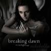 twilight-saga