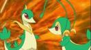 Snivy Vs Servine