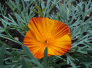 DSC03500