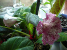 P1080339