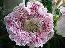 P1080343