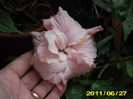 Picture 006