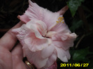Picture 007