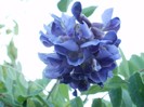 P7020047