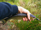 2011_0702PianuarieP0019