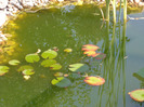 DSC00181