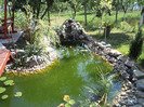 DSC00197