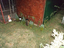 DSC00282