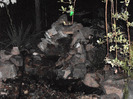 DSC00279 (1)