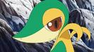 Rikky:Hm?