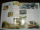 Vand revista BioPlanet Balaurul Dobrogean   DVD Animal Business