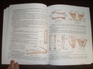 Vand manual biologie Ioana Arinis clasa 11 XI
