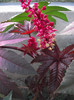 DSCF3985