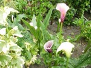 P7030008