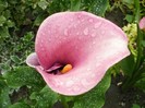 P7030014