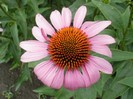 P7030023