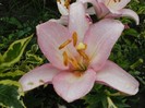P7030026