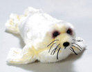 foca plus