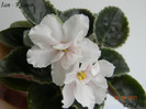 Ian - Kiiano 25-06-2011