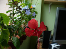 P1340697