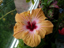 P1340727
