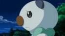 Asta place fiindca Oshawott e sad dar cute mereu:X