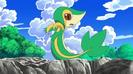 Ce misto arata Snivy aici!:X