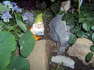 DSC09215