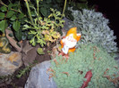 DSC09216