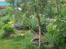DSC09239