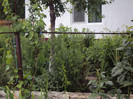 DSC09247