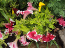 DSC09250