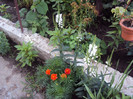 DSC09280